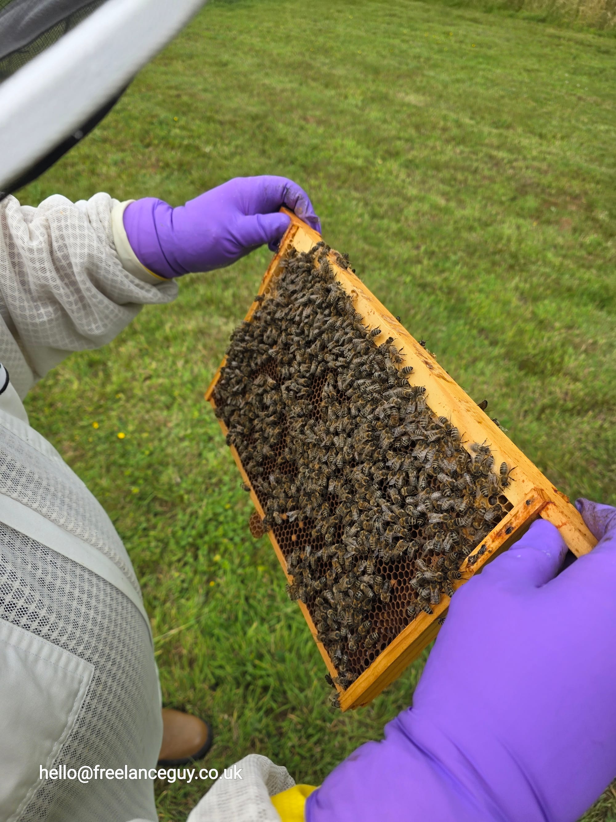 Beeking with Meltonby Honey
