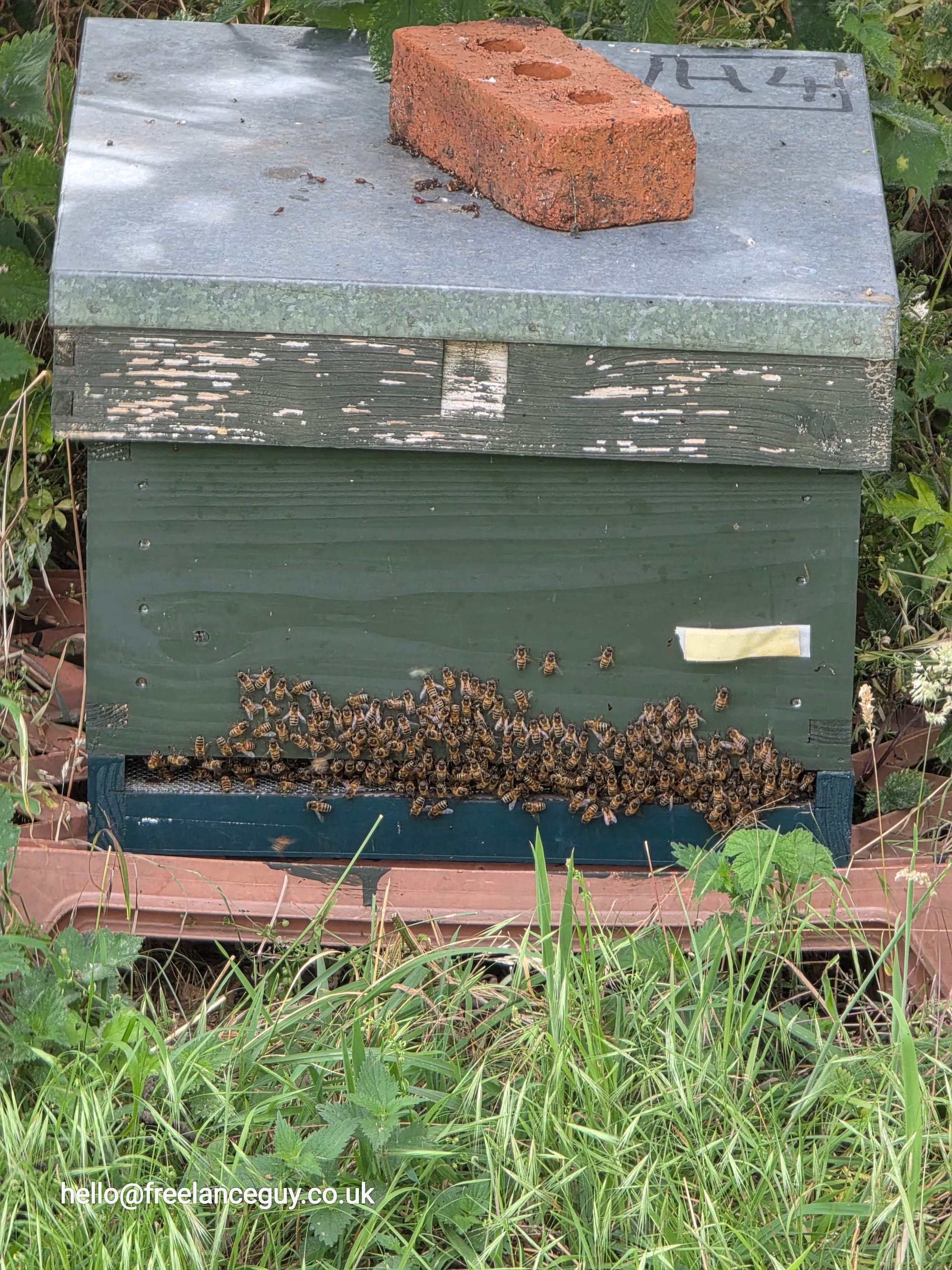 Beeking with Meltonby Honey