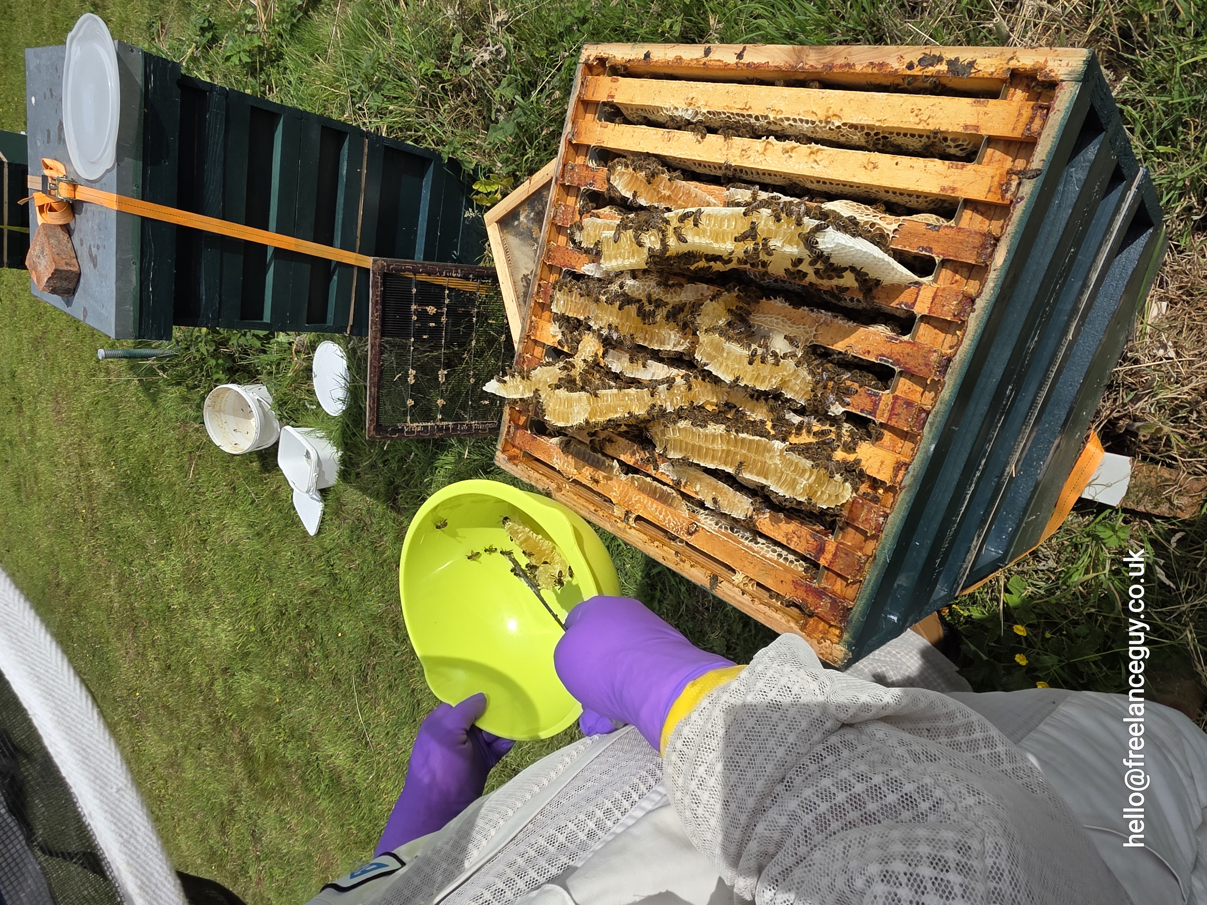 Andy gathering comb from the experimental hive